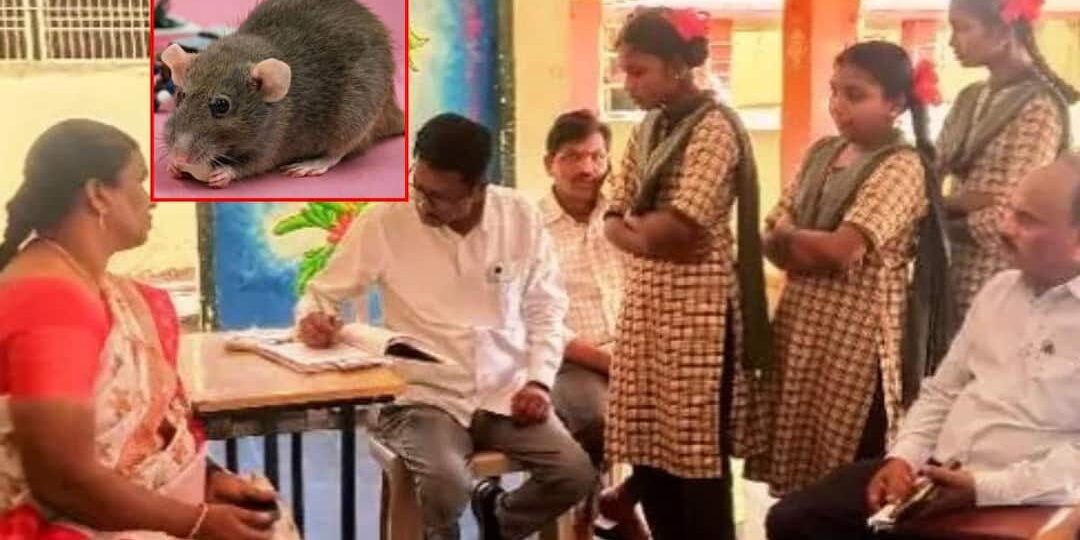 aayaayaya-aaya-aayaay-auaay