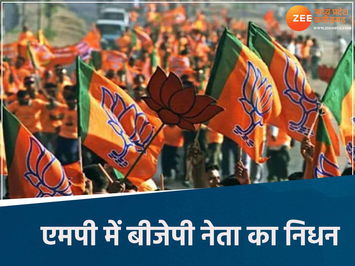 बिजली कर्मचारियों की मौज! अब 55% मिलेगा महंगाई भत्ता, छत्तीसगढ़ सरकार का बड़ा फैसला…