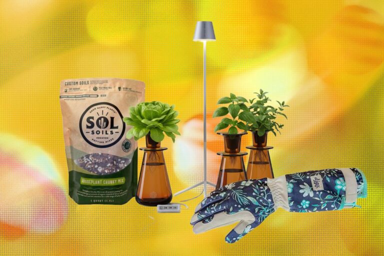 19 Best Gifts for Plant Lovers and Gardeners (2026)
