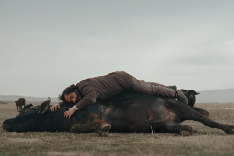 Banu Sivaci’s ‘Hear the Yellow’ Sweeps Taormina Film Festival Awards, ‘Animol,’ ‘Piccolo Mir…