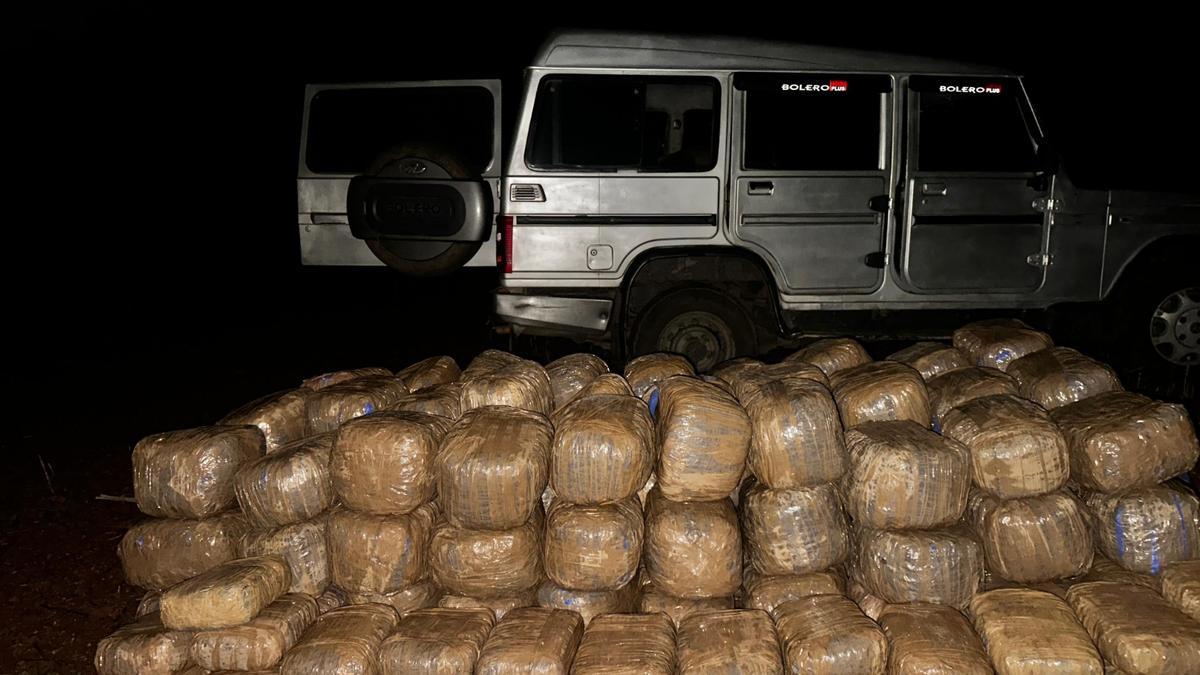 Telangana’s EAGLE force tracks drug smugglers through Odisha forests, seizes 500 kg marijuana