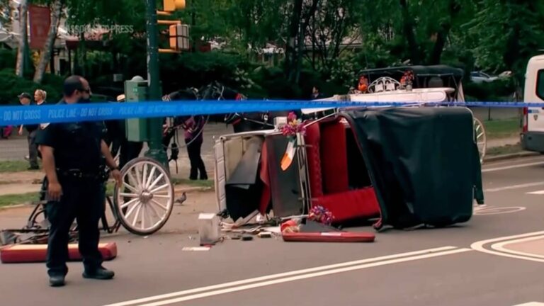Graduation Trip Turns Tragic: After Indian Teen Dies At New York Central Park, Mayor Pushes Ban On Horse-Drawn Carriages