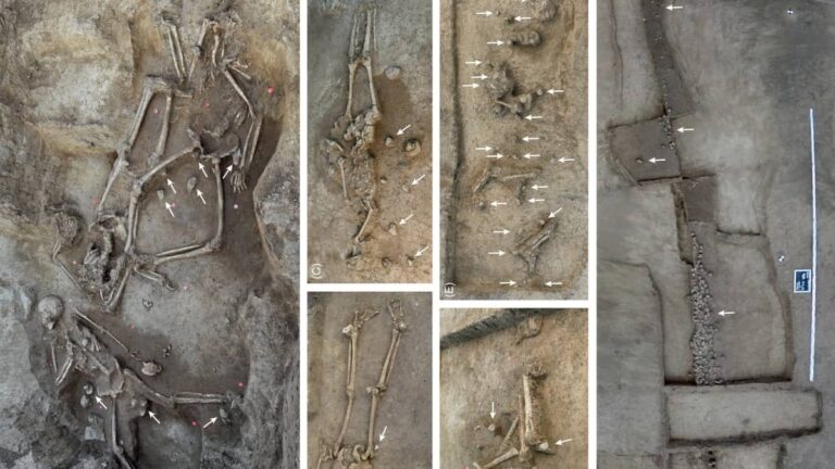Stone Age Discovery: Why Did an Ancient European Culture Bury 77 People Without Skulls?