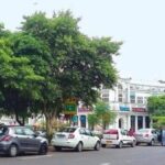 पार्किंग-होगी-दोगु