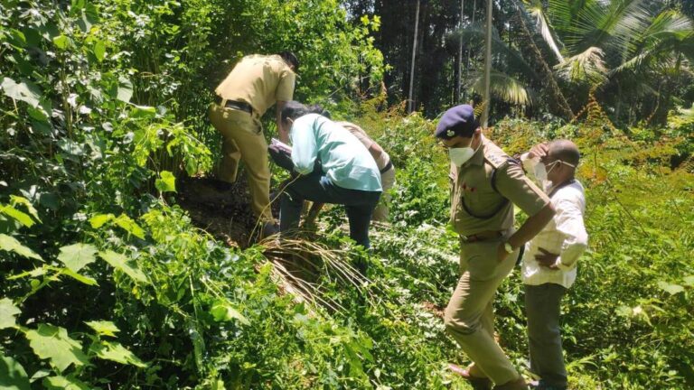 Environmentalists allege bid to derail Muttil tree-felling case