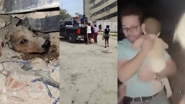 A Baby’s Cry, A Mother’s Hug, A Dog’s Whine: Venezuela’s Most Heartbreaking Rescue Stories T…