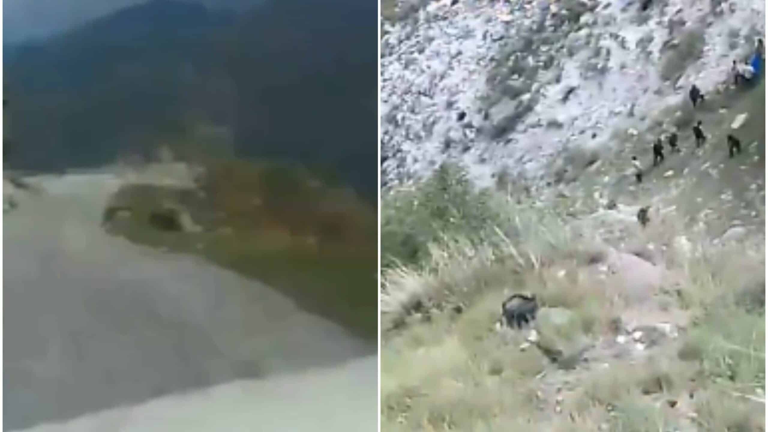 ‘Dekho Mera Nanihaal…’: Last Video Shot By Passenger Captures Truck Falling In Shimla Gorge, Killing All 6 Onboard