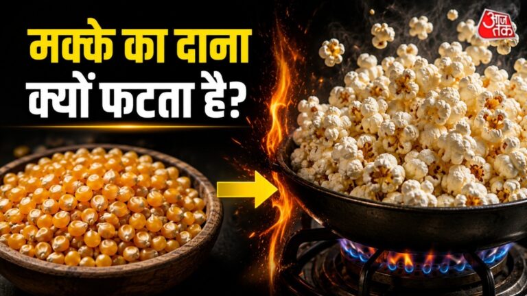 आग-पर-रखते-ही-क्यों