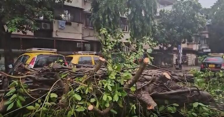 महाराष्ट्र-में-बार