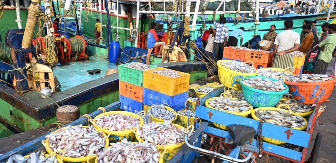 When Chennai’s Sea Food Edged Out Catch From Rivers, Estuaries in the City