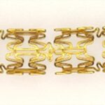 Sctimst Unveils Chitra Core, Its First Coronary Stent