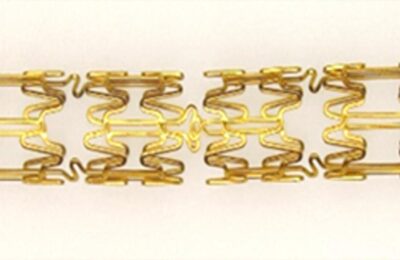 Sctimst Unveils Chitra Core, Its First Coronary Stent