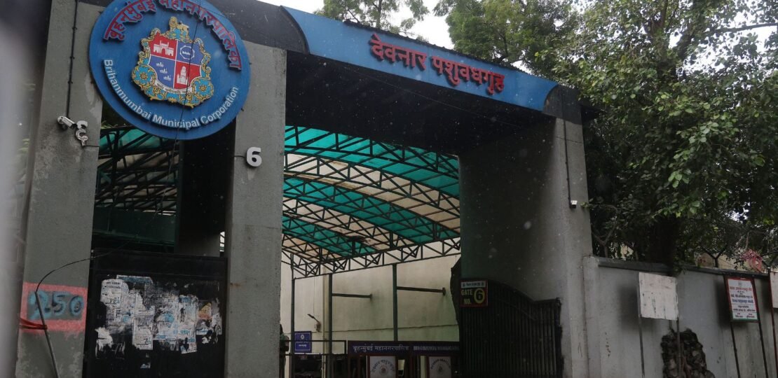 Mumbai’s Food Safety Crackdown: Bmc Destroyed 48,166 Kg Meat in a Year as Fda Tightens Noose
