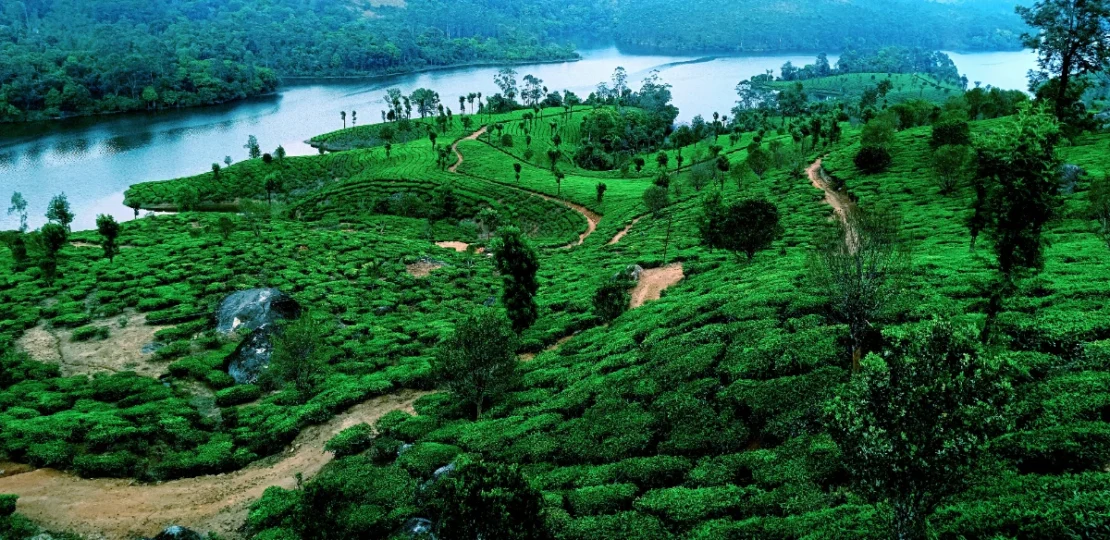 Long Weekend Travel Plan: अगस्त की छुट्टियों में Udaipur और Coorg की हरियाली और Monsoon नजार…