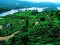 Long Weekend Travel Plan: अगस्त की छुट्टियों में Udaipur और Coorg की हरियाली और Monsoon नजार…