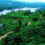 Long Weekend Travel Plan: अगस्त की छुट्टियों में Udaipur और Coorg की हरियाली और Monsoon नजार...