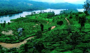 Long Weekend Travel Plan: अगस्त की छुट्टियों में Udaipur और Coorg की हरियाली और Monsoon नजार…