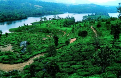 Long Weekend Travel Plan: अगस्त की छुट्टियों में Udaipur और Coorg की हरियाली और Monsoon नजार…