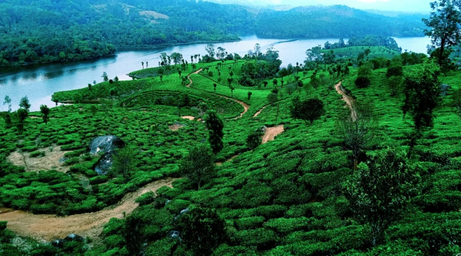 Long Weekend Travel Plan: अगस्त की छुट्टियों में Udaipur और Coorg की हरियाली और Monsoon नजार…