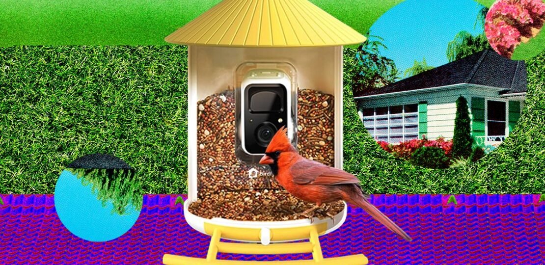 The Smart Bird Feeders Everyone’s Talking About (and Actually Buying) (2026)