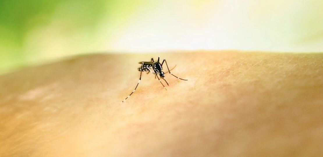 Delhi Mosquito Surge: मानसून में बढ़ रहा Dengue और Malaria का Threat, जानें कब हों Hospitali…