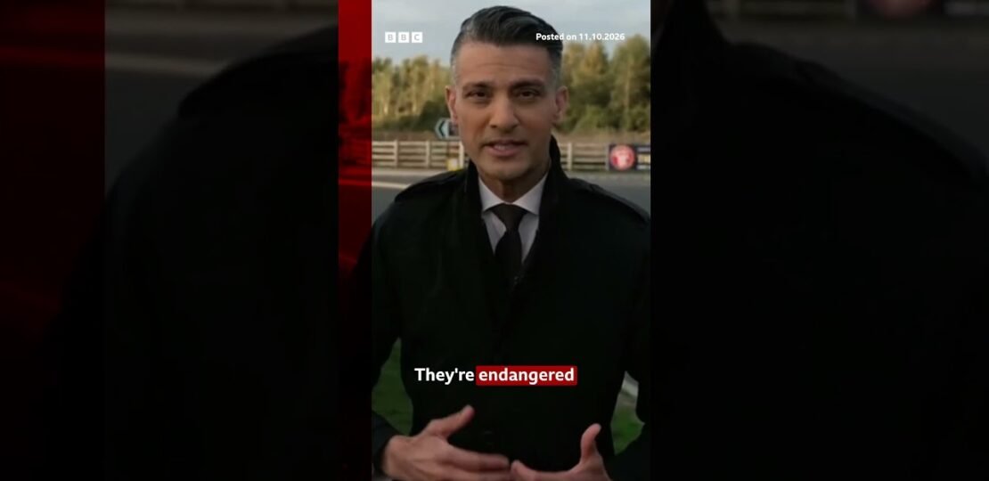 Wildlife park where man fatally attacked by tiger gives update. #YorkshireWildlifePark #BBCNews