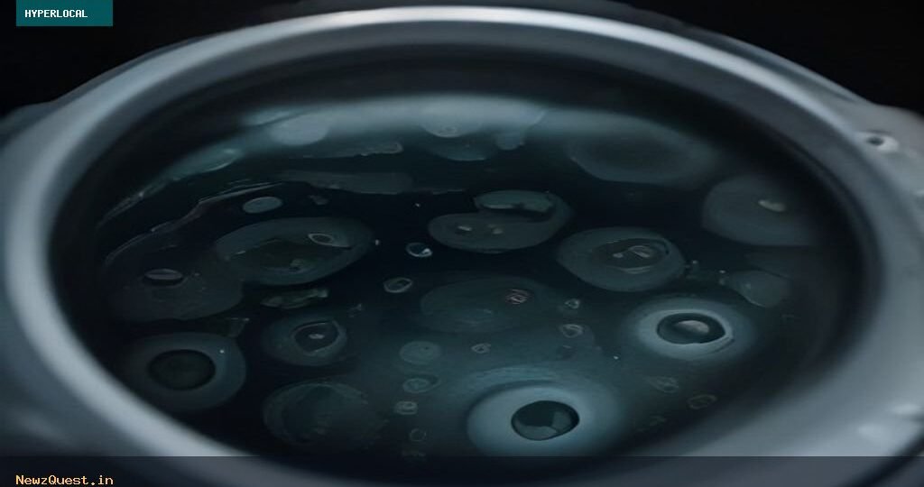 Amu Researchers Detect New Multidrug-resistant Bacterial Genome in Aligarh Drain
